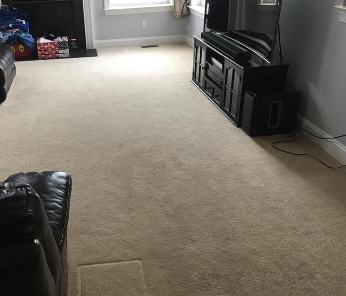 carpets before being cleaned