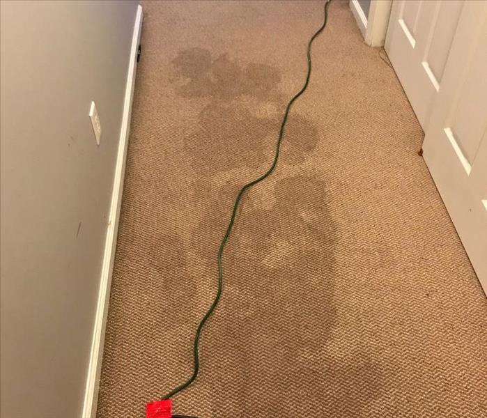 hallway with wet carpet
