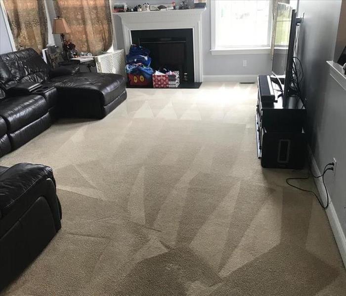 carpet in living room after cleaned showing clean triangles