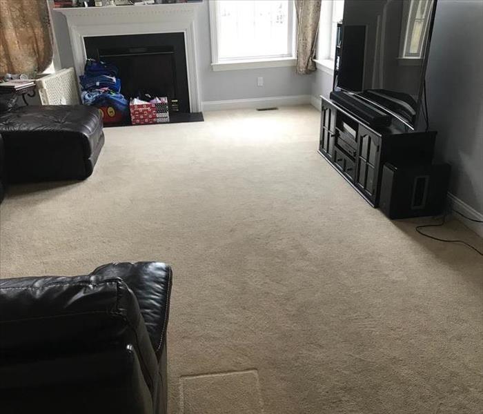 carpet in living room before cleaning