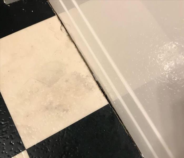 bathroom checkered floor