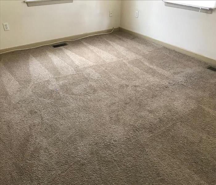 carpets cleaned