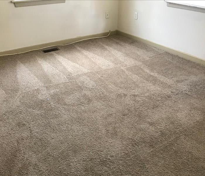 clean carpets
