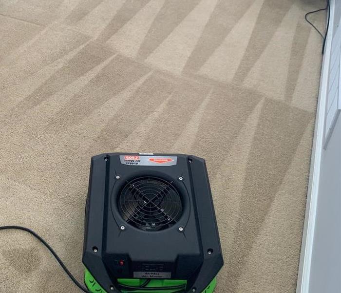 cleaned carpets and air mover
